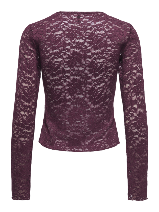 Only Langarm-Spitzenshirt ONLNIKKA bei Robert Ley