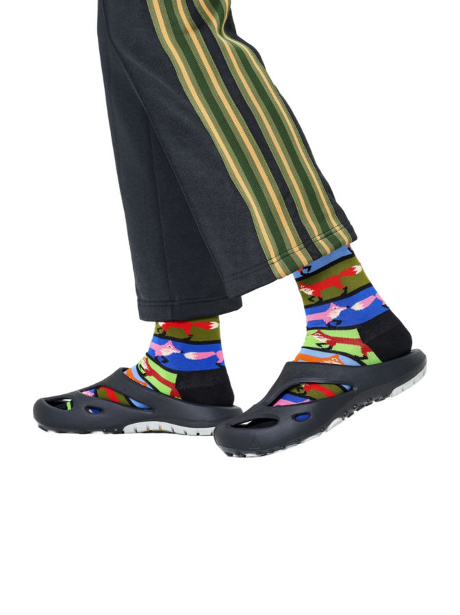 Happy Socks Socken Fox Stripe bei Robert Ley