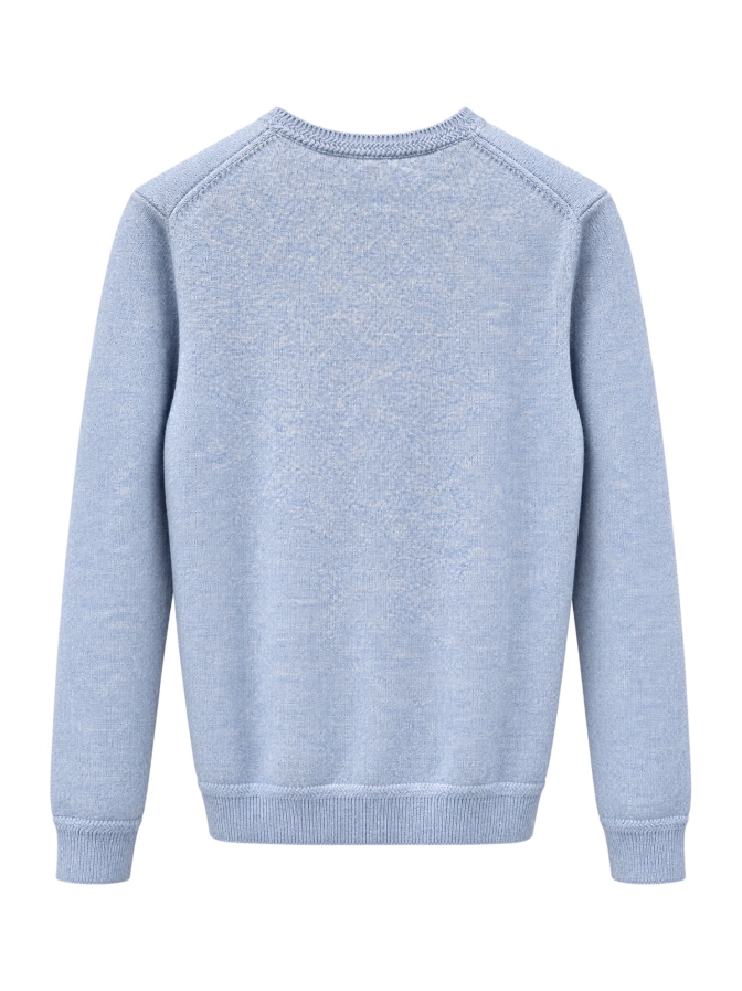 van Laack Kaschmirpullover Sindo-XX bei Robert Ley