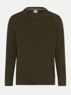 Brax Stickpullover ROY 30-deep jungle bei Robert Ley