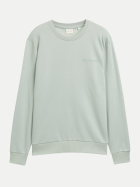 Tom Tailor Casual Regular-Fit Sweatshirt mit Logo 12792-soft greyish green bei Robert Ley