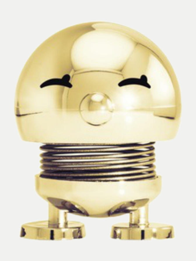 Hoptimist Hoptimist Bimble S bei Robert Ley