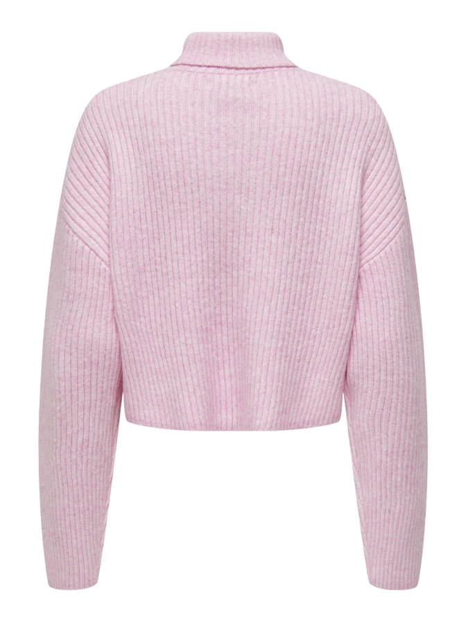Only Rollkragenpullover Melanie bei Robert Ley