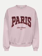 JDY Sweatshirt 271475022-Chalk Pink/WINDSOR WINE + EARTH RED bei Robert Ley