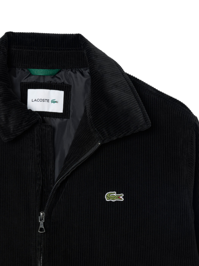 Lacoste Bomberjacke aus gefüttertem Cord bei Robert Ley