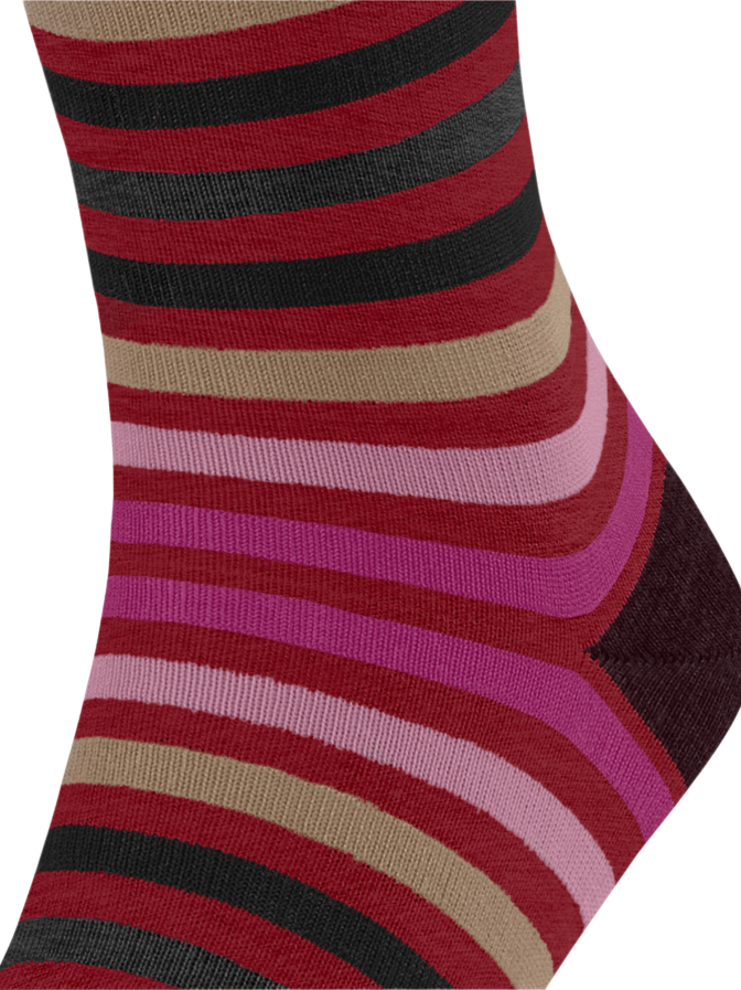 Falke Socken Tinted Stripe bei Robert Ley
