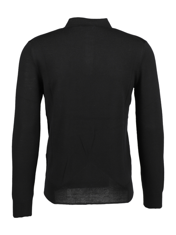 Polo Ralph Lauren Pullover mit Polokragen bei Robert Ley
