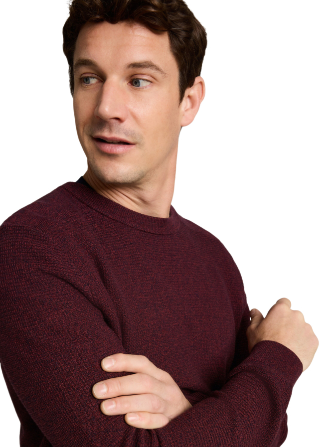 Tom Tailor Casual Basic Strickpullover bei Robert Ley