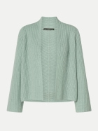 Windsor Women Schal mit Kaschmiranteil 336-Lt/Pastel Green 336 bei Robert Ley