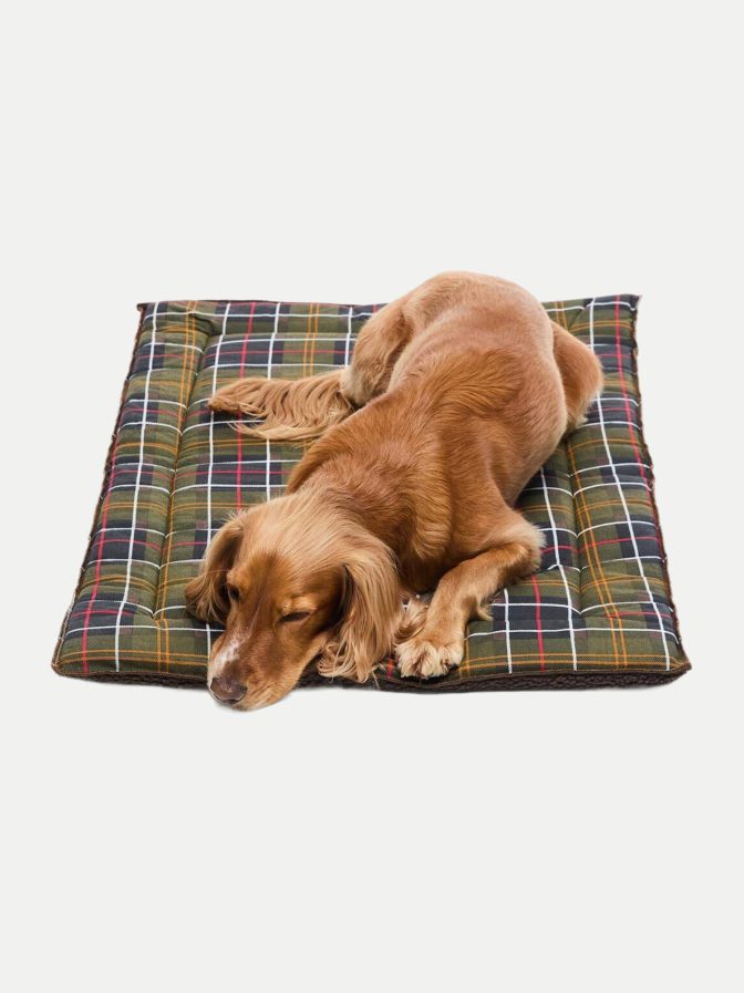 Barbour Hundematte Cage bei Robert Ley