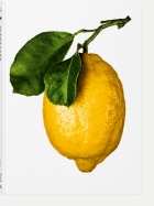 TASCHEN The Gourmand's Lemon: A Collection of Stories and Recipes lemon-lemon bei Robert Ley