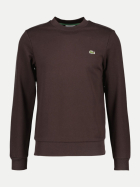 Lacoste Sweatshirt mit Rundhalsausschnitt 3la-buffalo bei Robert Ley