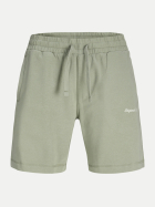 JACK & JONES Shorts JPSTKARL 176290-Seagrass bei Robert Ley
