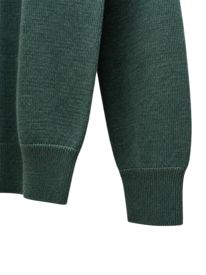 Polo Ralph Lauren Pullover mit Polokragen bei Robert Ley