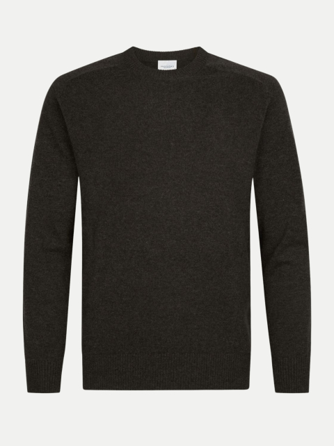 PROFUOMO Pullover Soft Wolle Crewneck bei Robert Ley