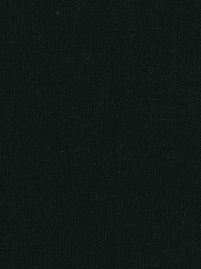 CARL GROSS Sakko Franko bei Robert Ley