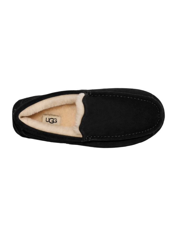 UGG Hausschuh Ascot bei Robert Ley