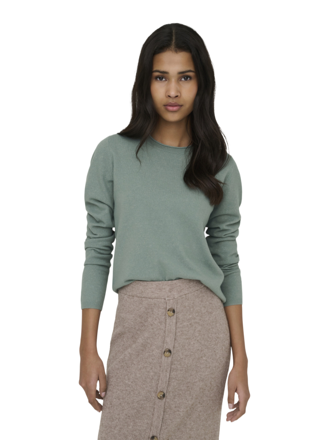 Only Langarmshirt ONLLOYAL bei Robert Ley