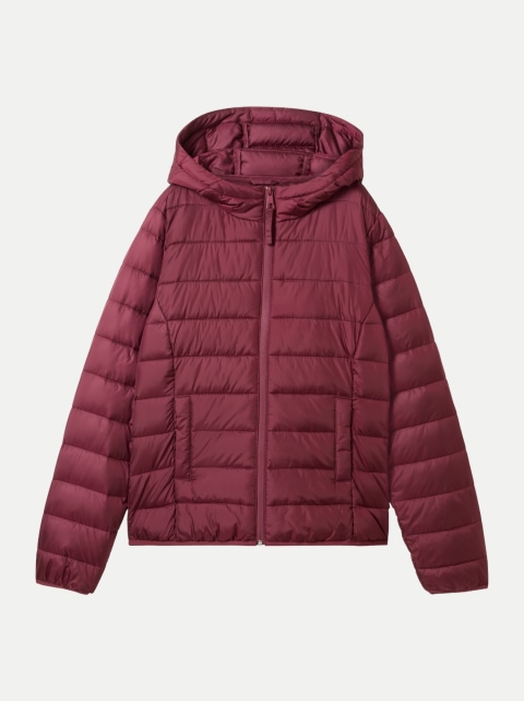 Tom Tailor Denim Steppjacke Light-Weight bei Robert Ley