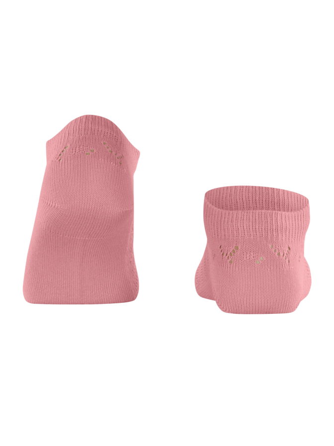 Falke FALKE Family SN Special Edition bei Robert Ley
