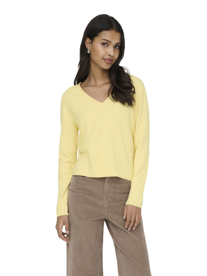 Only Strickpullover ONLLOYAL bei Robert Ley