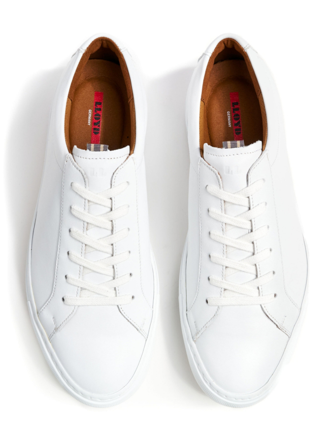 Lloyd Shoes Sneaker Abel bei Robert Ley