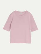 Tom Tailor Casual knit shortsleeve crewneck swea 36847-light elderberry bei Robert Ley