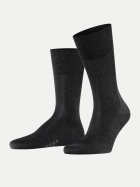 Falke Socken Tiago 3095-anthracite mel. bei Robert Ley
