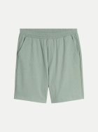 Tom Tailor Denim Relaxed- Fit Sweat-Shorts 16005-green mist bei Robert Ley