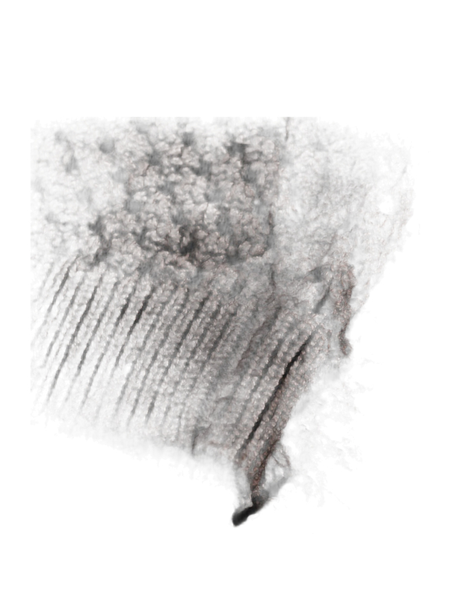 Windsor Women Strickjacke bei Robert Ley