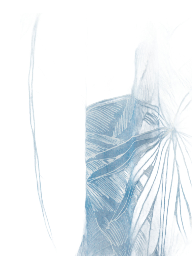 Riani Bluse bei Robert Ley