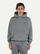 Pegador Oversized Hoodie mit Logoprint 386-vintage grey bei Robert Ley