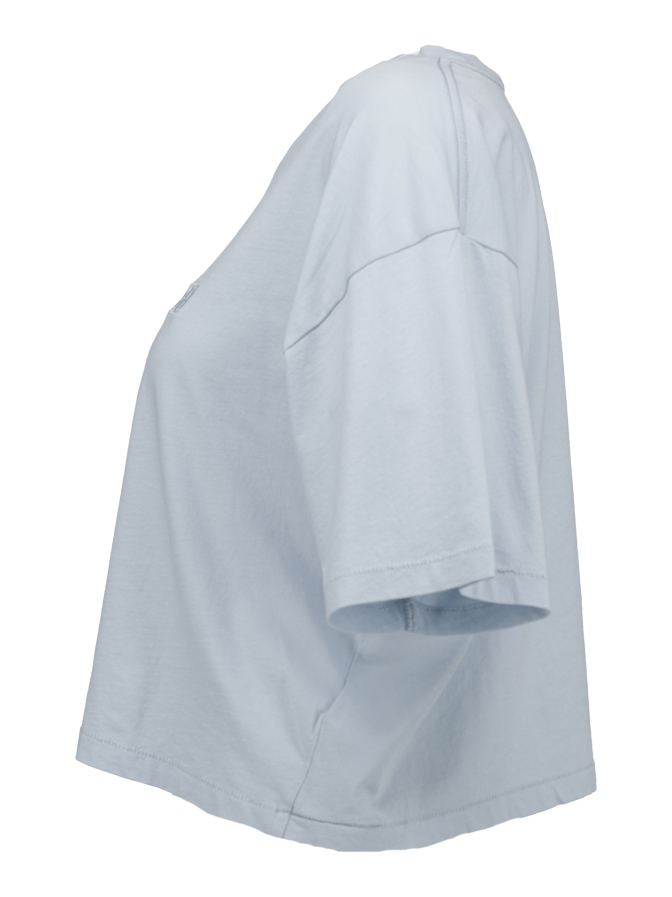 Anine Bing Cropped T-Shirt Johnny bei Robert Ley