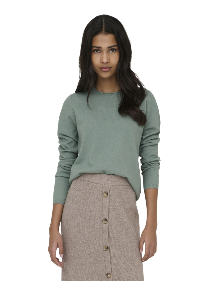 Only Langarmshirt ONLLOYAL bei Robert Ley