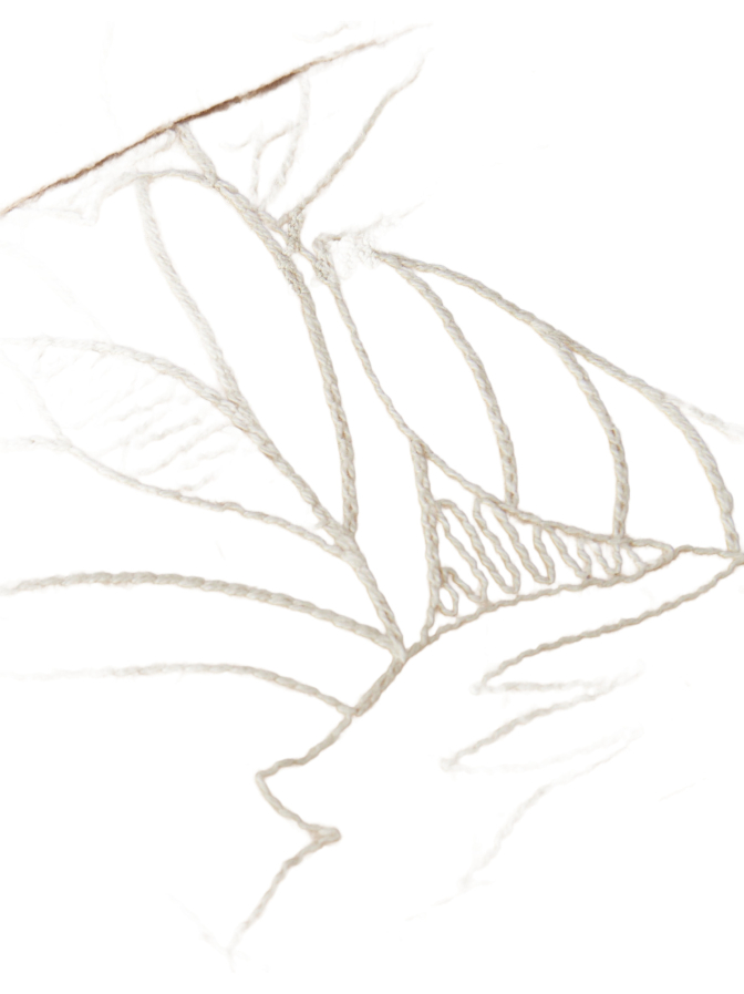 MONMARE Resorthemd EUGENE bei Robert Ley