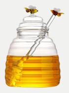 WD Lifestyle Honigtopf aus Glas 500ml uni bei Robert Ley