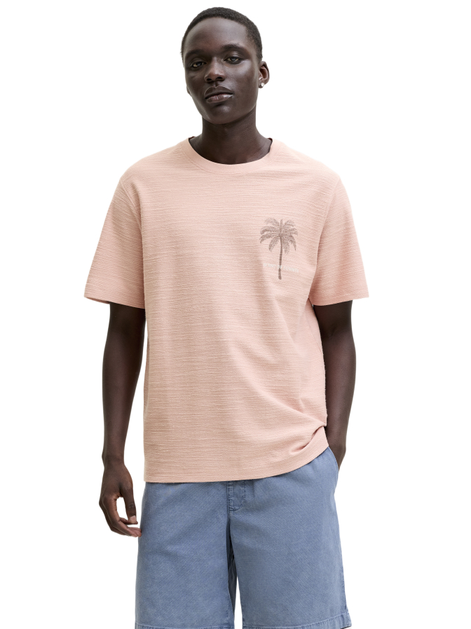Jack & Jones T-Shirt mit Print bei Robert Ley
