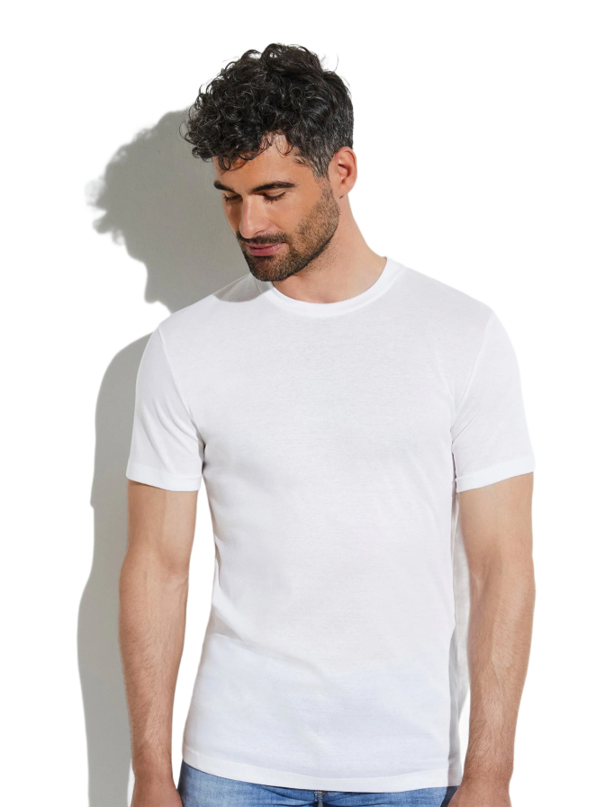 Zimmerli Basic T-Shirt bei Robert Ley