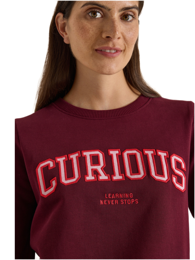 Cecil Sweatshirt mit Stickerei bei Robert Ley