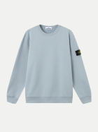 Stone Island Regular-Fit Sweatshirt v0049ashgrey bei Robert Ley