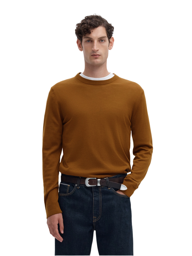 SELECTED HOMME Pullover aus Merinowolle bei Robert Ley