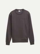 Tom Tailor Casual Regular-Fit Sweatshirt mit Logo 10899-Tarmac Grey bei Robert Ley