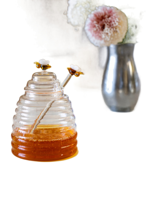 WD Lifestyle Honigtopf aus Glas 500ml bei Robert Ley