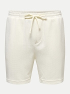 Only & Sons Sweatshirt Shorts 276522-Gardenia bei Robert Ley