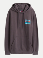 Tommy Jeans Regular-Fit Hoodie mit Back-Flag PT2-GREY bei Robert Ley