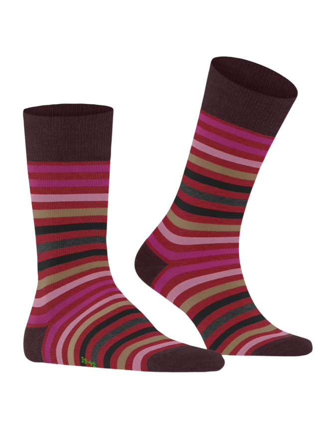 Falke Socken Tinted Stripe bei Robert Ley