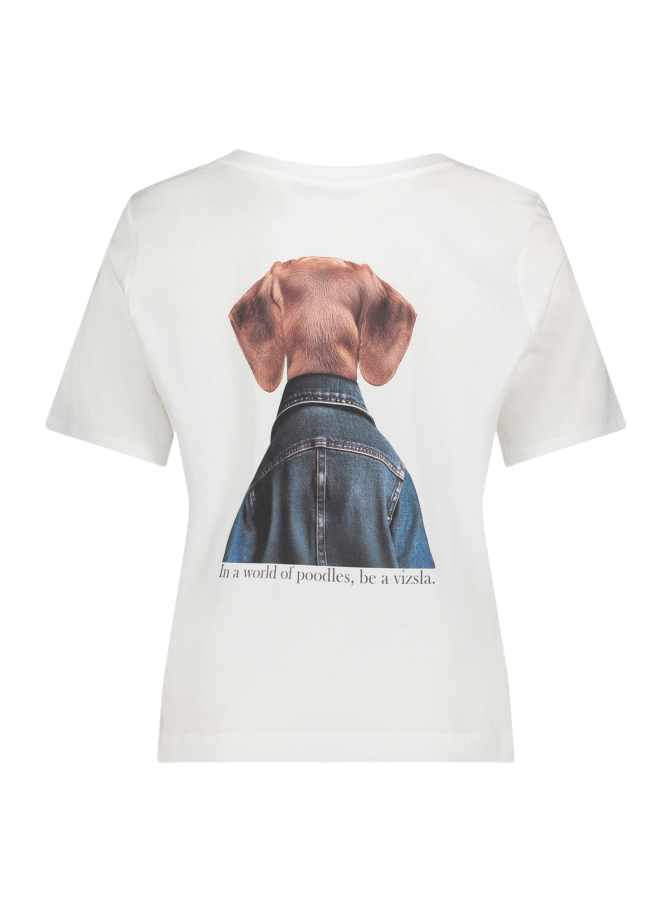 Betty Barclay Shirt Denim & Dogs bei Robert Ley