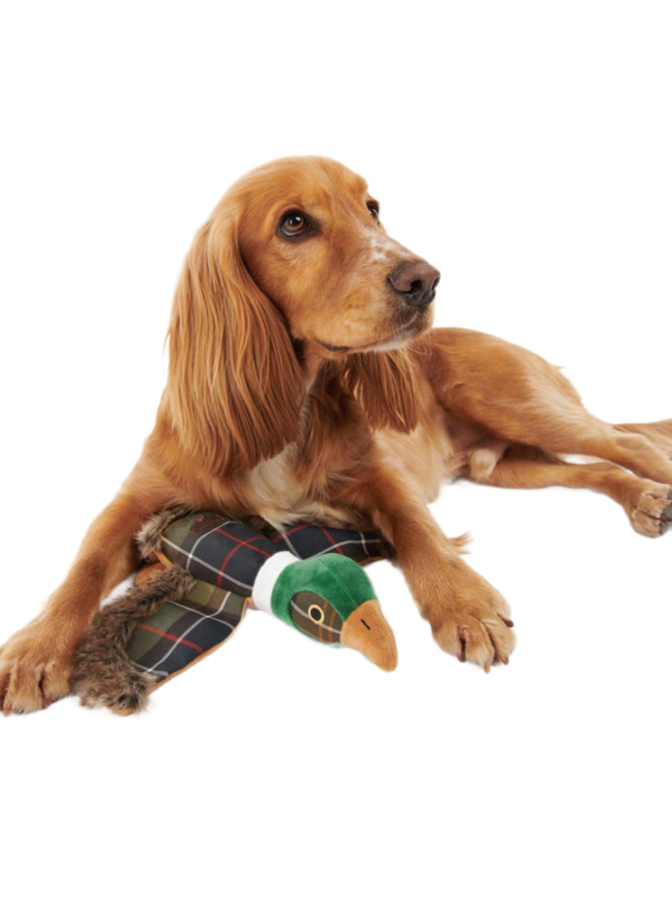 Barbour Hundespielzeug Fasan bei Robert Ley