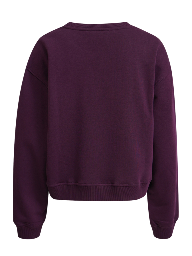 Smith & Soul Boxy-Fit Sweatshirt bei Robert Ley