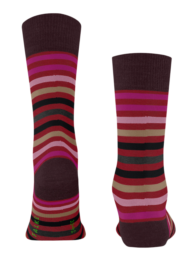 Falke Socken Tinted Stripe bei Robert Ley